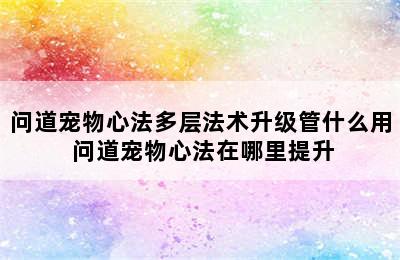 问道宠物心法多层法术升级管什么用 问道宠物心法在哪里提升